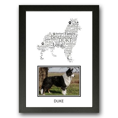Border Collie Photo Print Gifts